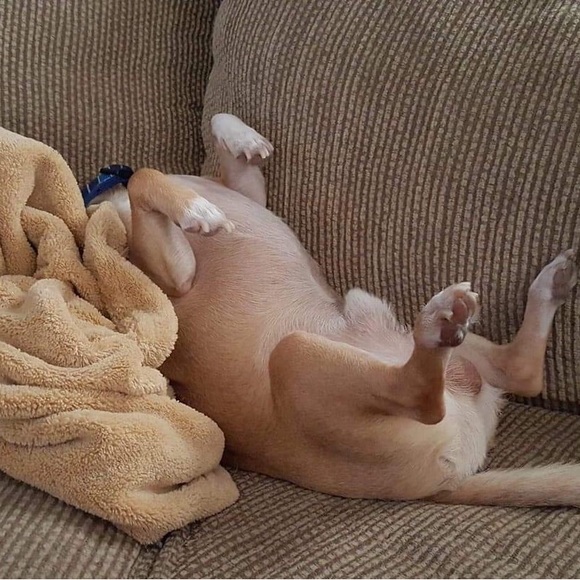 Meet your Posher, Mona - Picture 9 of 14